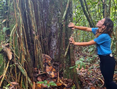 young woman with shoulder length dark hair laying her hands on a very large tree and looking up at its canopy