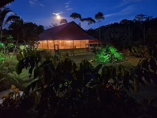 Jungle lodge illuminated at night, with a prominent roof, glowing windows, green-lit bushes, and a bright full moon above.