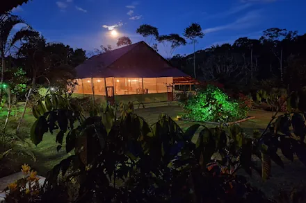 Night view of a moonlit building with illuminated walls, surrounded by dark foliage and a bright green-lit bush.