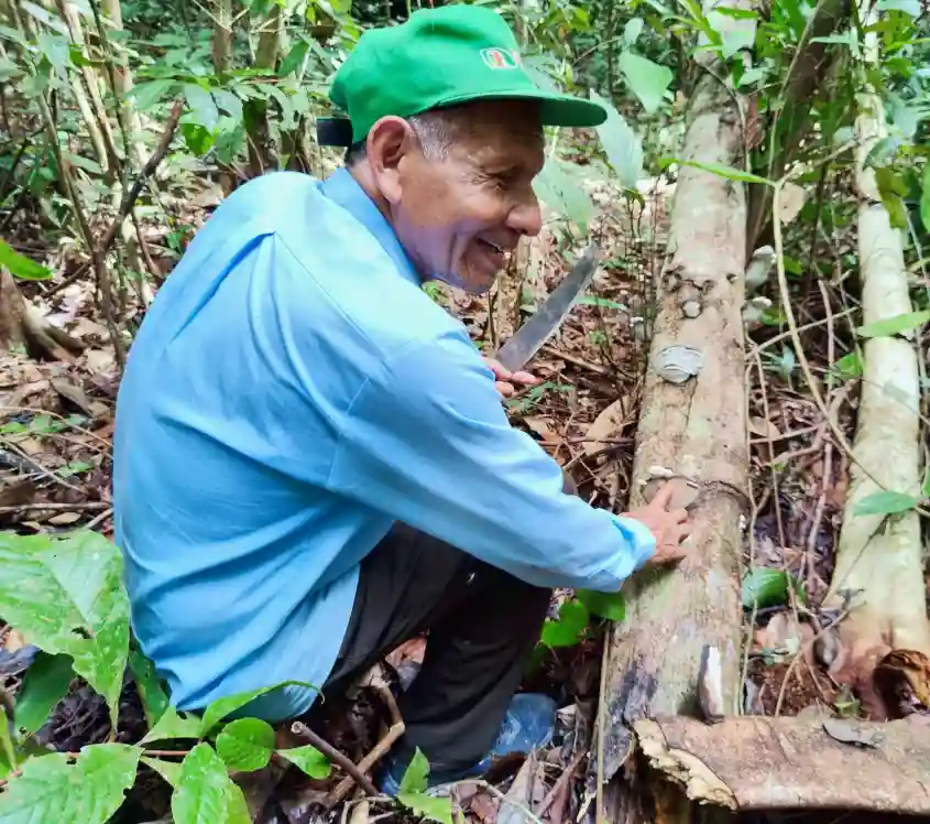 Smiling man in green hat and blue shirt crouches in a forest, touching a mushroom on a tree trunk while holding a machete.