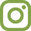 Green Instagram logo.